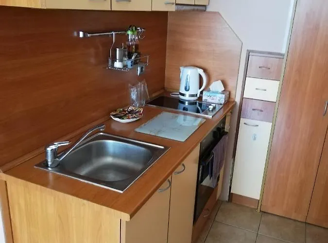 в.търново アパート *